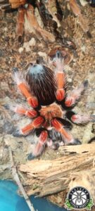 490777446_122106026168834347_1963658765606236721_n