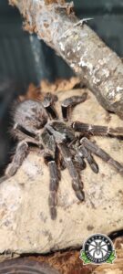 491348677_122105391812834347_4081137698865999727_n